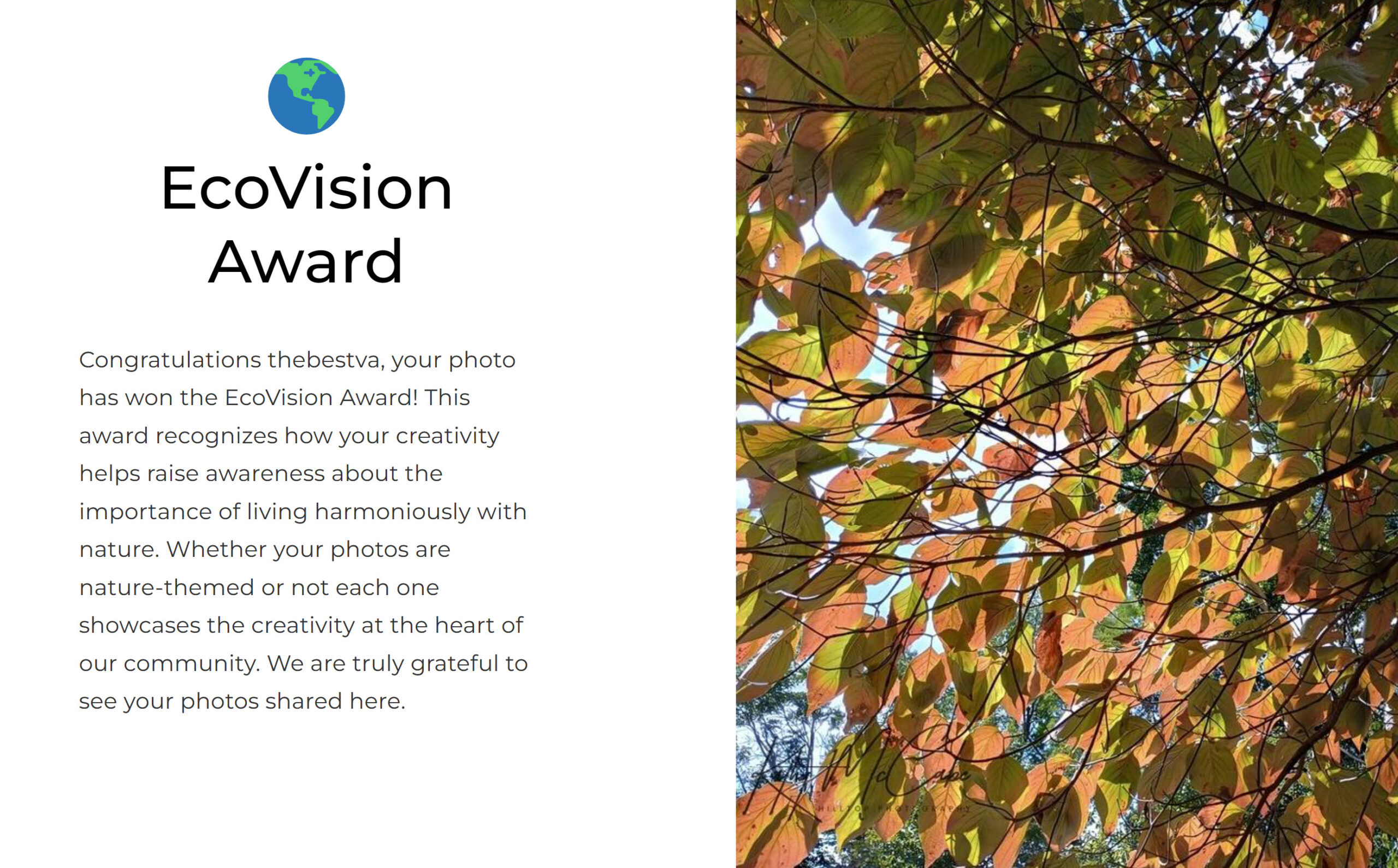 Ecovision Award by Viewbug April 2024