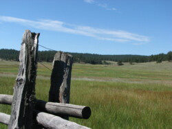 Park County Fence