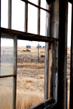 Abandoned on the Plains