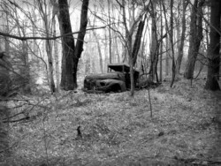 Forgotten in Upstate New York by Kathy McCabe