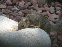 A Cautious Sip