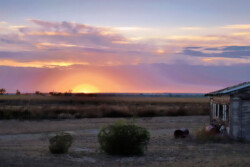 Sunset on the Farm