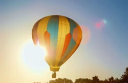 Up Balloon Up Balloon by Kathy McCabe