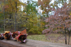 Fall Leaf Flowers by Kathy McCabe
