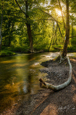 The Bend in the River
